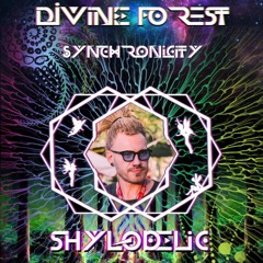 Divine Forest Festival (Croatia 19.07.2025)