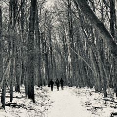 Nothing at all happens here