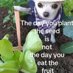 Unfinished 10.09.2020