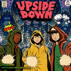 Upside Down ( PsyFunktion Records )