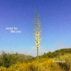 Flume - Never Be Like You (it's murph Remix)