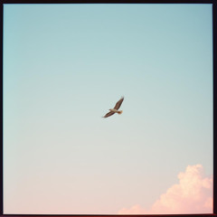 When I Learned To Fly