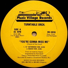 Turntable Orchestra-You're Gonna Miss Me (Walterino Remode)