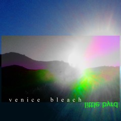 Venice Bleach { instrumental } - little byrd