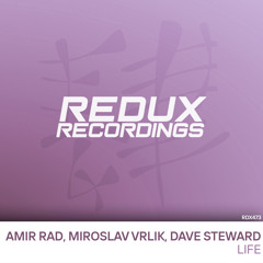 Amir Rad - Life (Miroslav Vrlik & Dave Steward Remix)