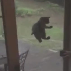 buh buh dnb or whatever i dont know you think i got inspiration or something