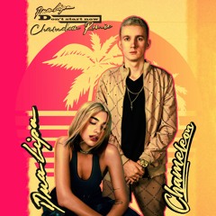 Dua Lipa - Don't Start Now (Chameleon Remix) [FREE DOWNLOAD]