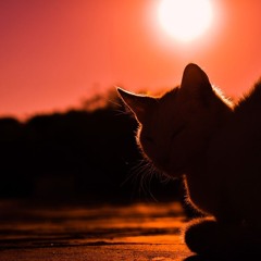 Sunset on Horizon