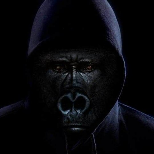 The BOX Ze20 (  M A N U  9 8 7  )👻.mp3