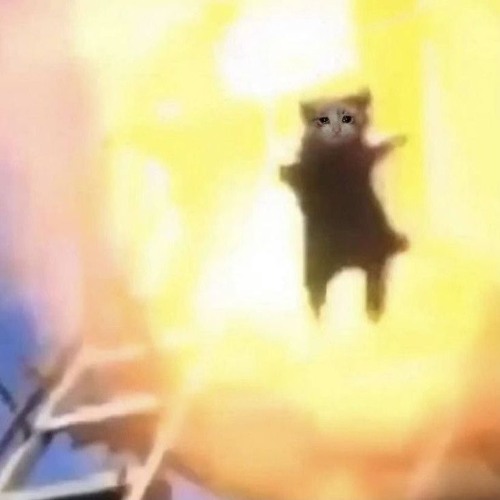 Stupid Think remix (feat. feiz)