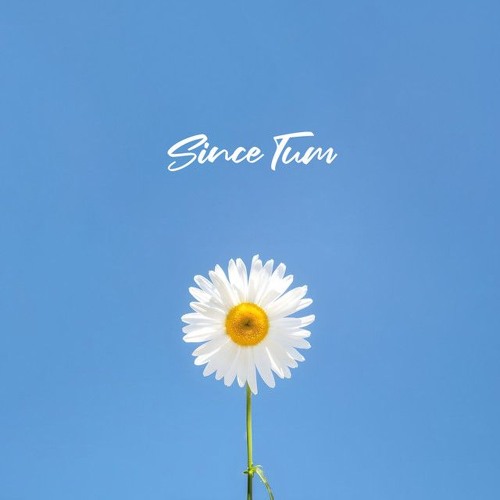 Since Tum - JANI, Talha Anjum‬