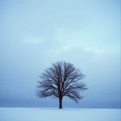 I can't do it without you #2