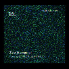Zee Hammer - 27th July 2025
