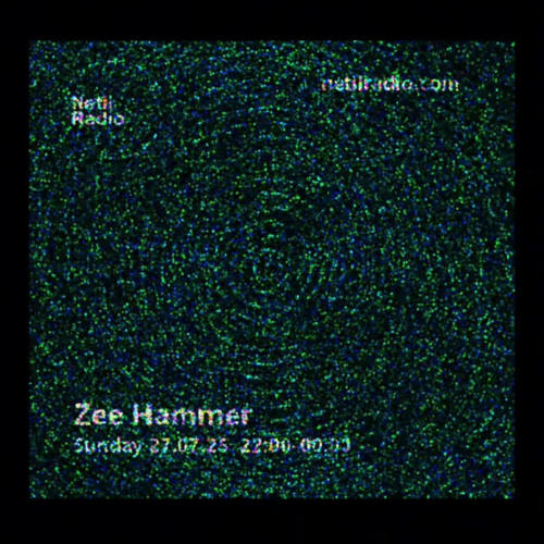 Zee Hammer - 27th July 2025