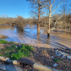 Tribute to Cleo Page, 19 February 2025.mp3