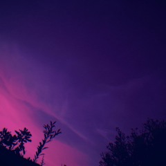 dawn wind