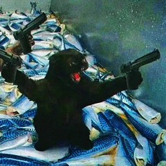 maneskin-beggin-mp3.mp3