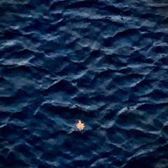 Adrift Amidst Waves of Humanity, Whales, Minnows, Sharks, and Loud-mouth Bass