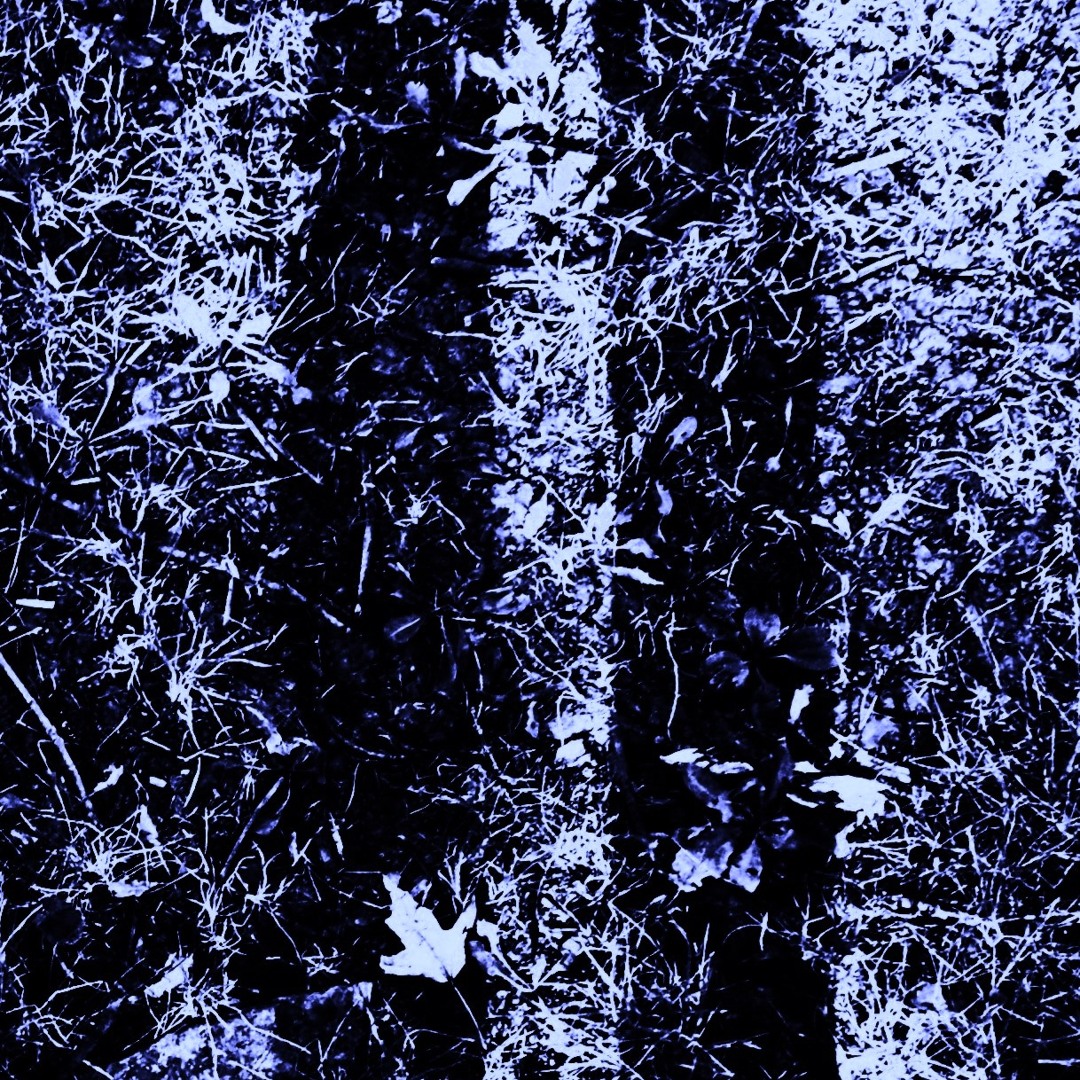 Life Tracks (For How Long Edit)