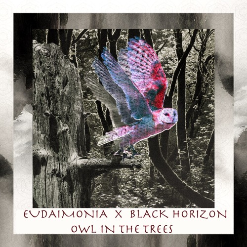 Eudaimonia x Black Horizon - Owl in the Trees