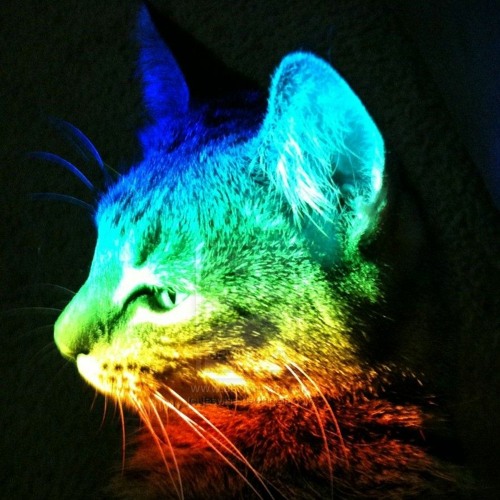 Electronica Dreams Vol. 5