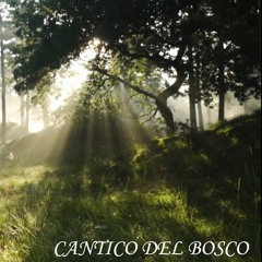 CANTICO DEL BOSCO 🌳🌳🌳