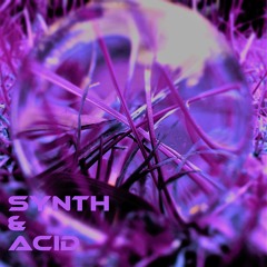Synth & Acid
