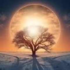 SOLSTICE Summer 2024 Dj Carlos N, feat. Various Artists