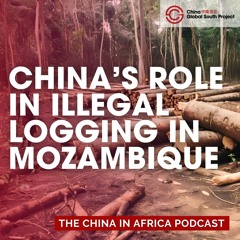 Illegal Chinese Timber Trade Fuels Insurgency in Mozambique