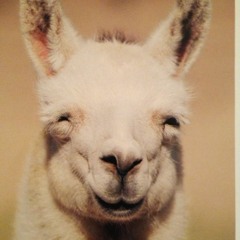 Happy Lama