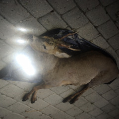 Blue Nightmare / Black Sun