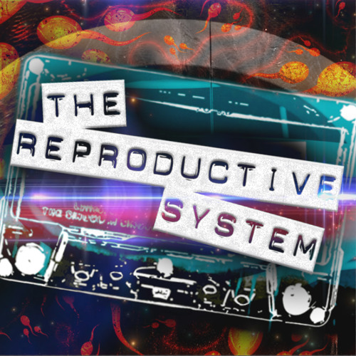 Project Storm & Surge Recordings Releases