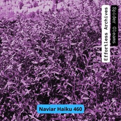 Effortless Archives - Spider Gleams (Naviar Haiku 460)