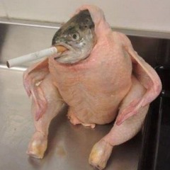 Chicken Fish