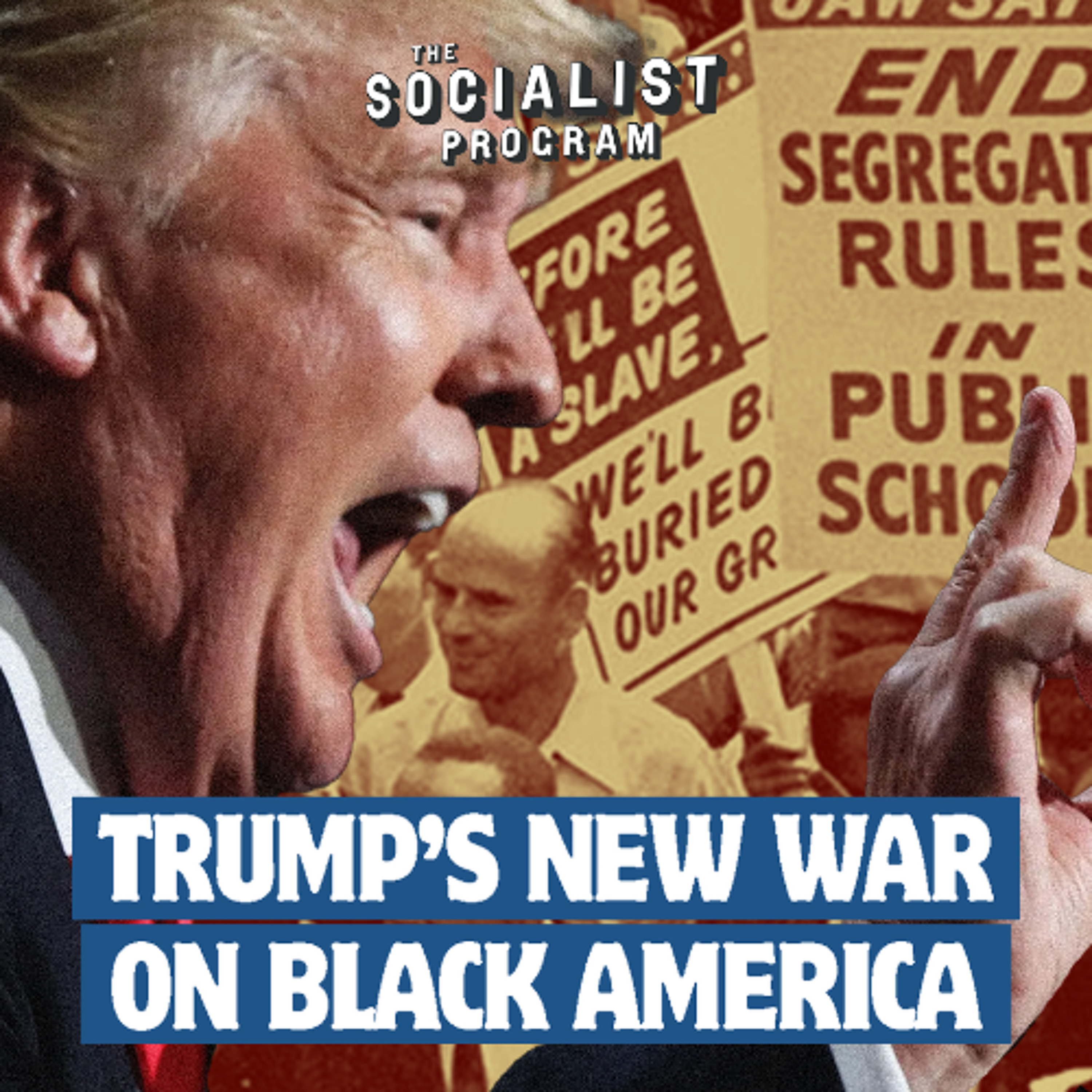 Trump’s ‘DEI’ Purge: a Trojan Horse to Overturn Civil Rights and Erase History