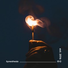 Senkya - Spectrum / NOW ON SPOTIFY / Synesthesia 5.0