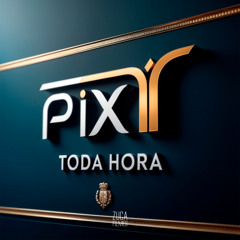 Pix Toda Hora
