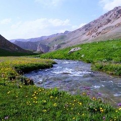 3 Hour - Beautiful Mountain River Nature Sounds