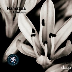 Namatjira - Animulus (Sounom & Sagou Remix)