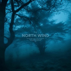 north wind