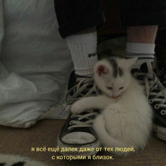 Vspak feat. Nebo7 - Привет. Я сгорел