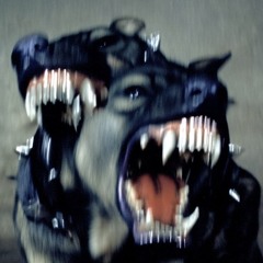 Who’s The Baller Now Woardie?