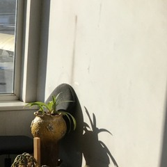 Freddie Gibbs & Madlib - Shame (whywasiborninthe90s remix)