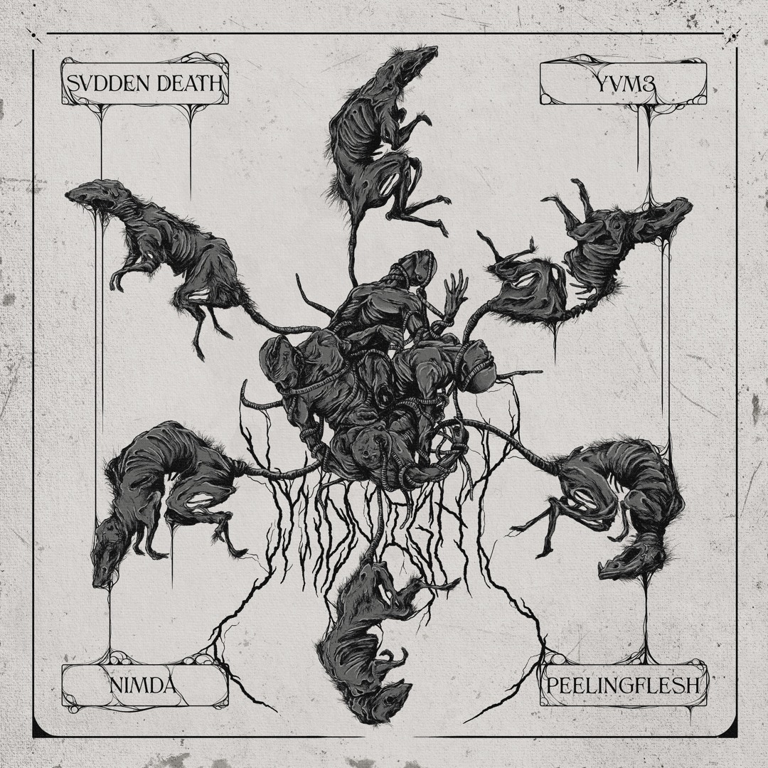 Stream NIMDA | Listen to NIMDA X SVDDEN DEATH X YVM3 X PEELING