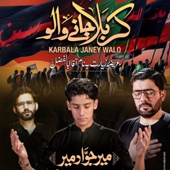 Karbala Janay Walon  --  Mir Jawad Mir  --  Mir Hasan Mir  --  2024