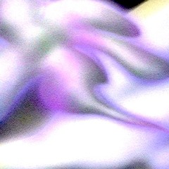 say sum w 4forum + latria (daniell24)