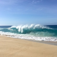 Playa Omakase