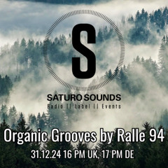 Organic Grooves by Ralle 94, 31.12.24
