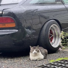 meowww