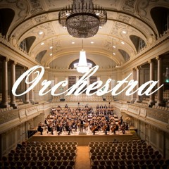Orchestra Portfolio(2023)